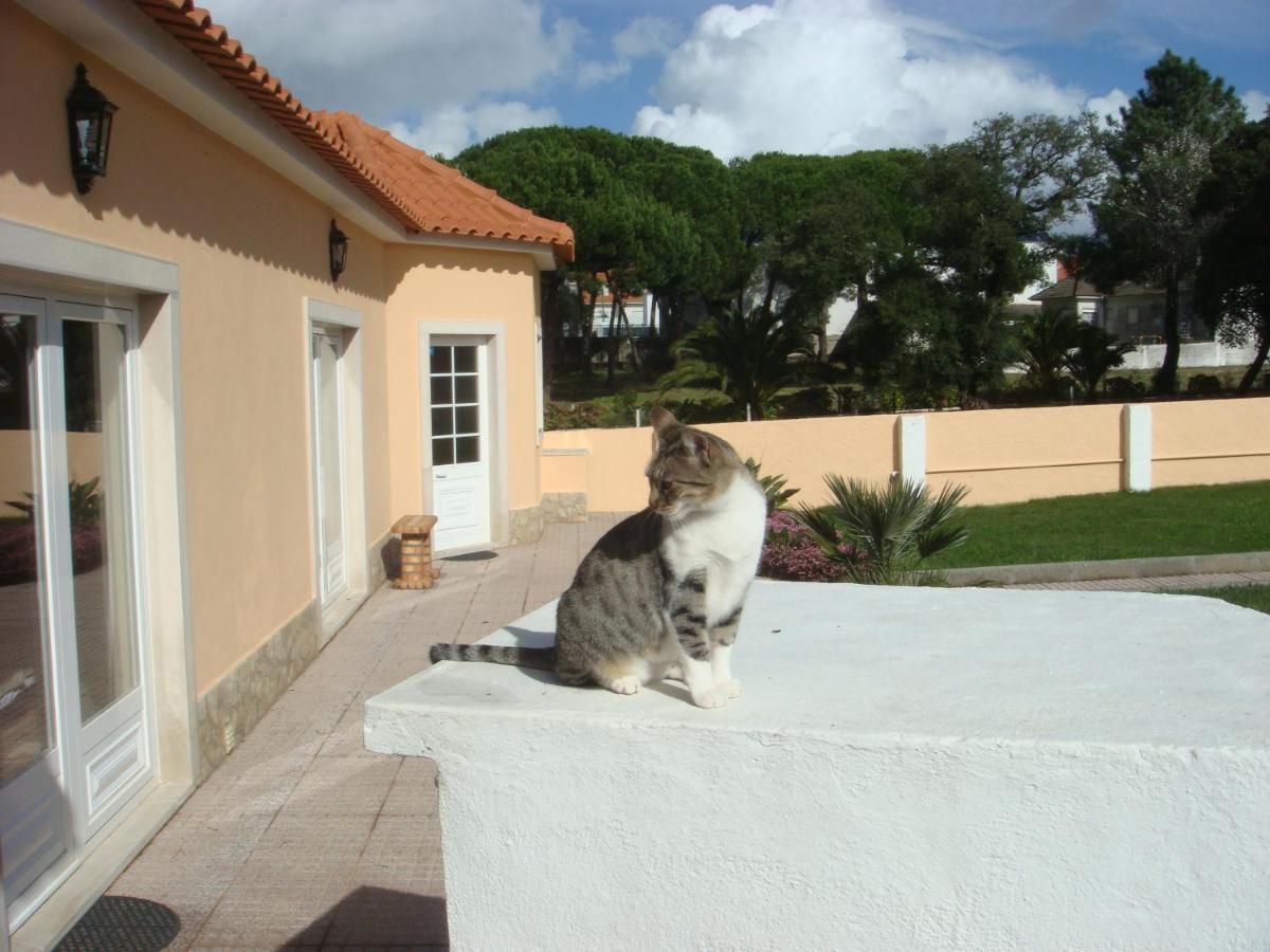 Casa De Hospedes Flor Do Jardim มัลเวรา ภายนอก รูปภาพ