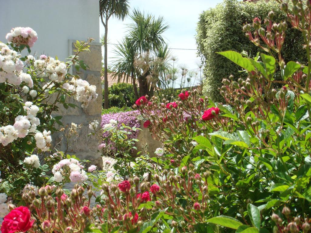 Casa De Hospedes Flor Do Jardim มัลเวรา ภายนอก รูปภาพ